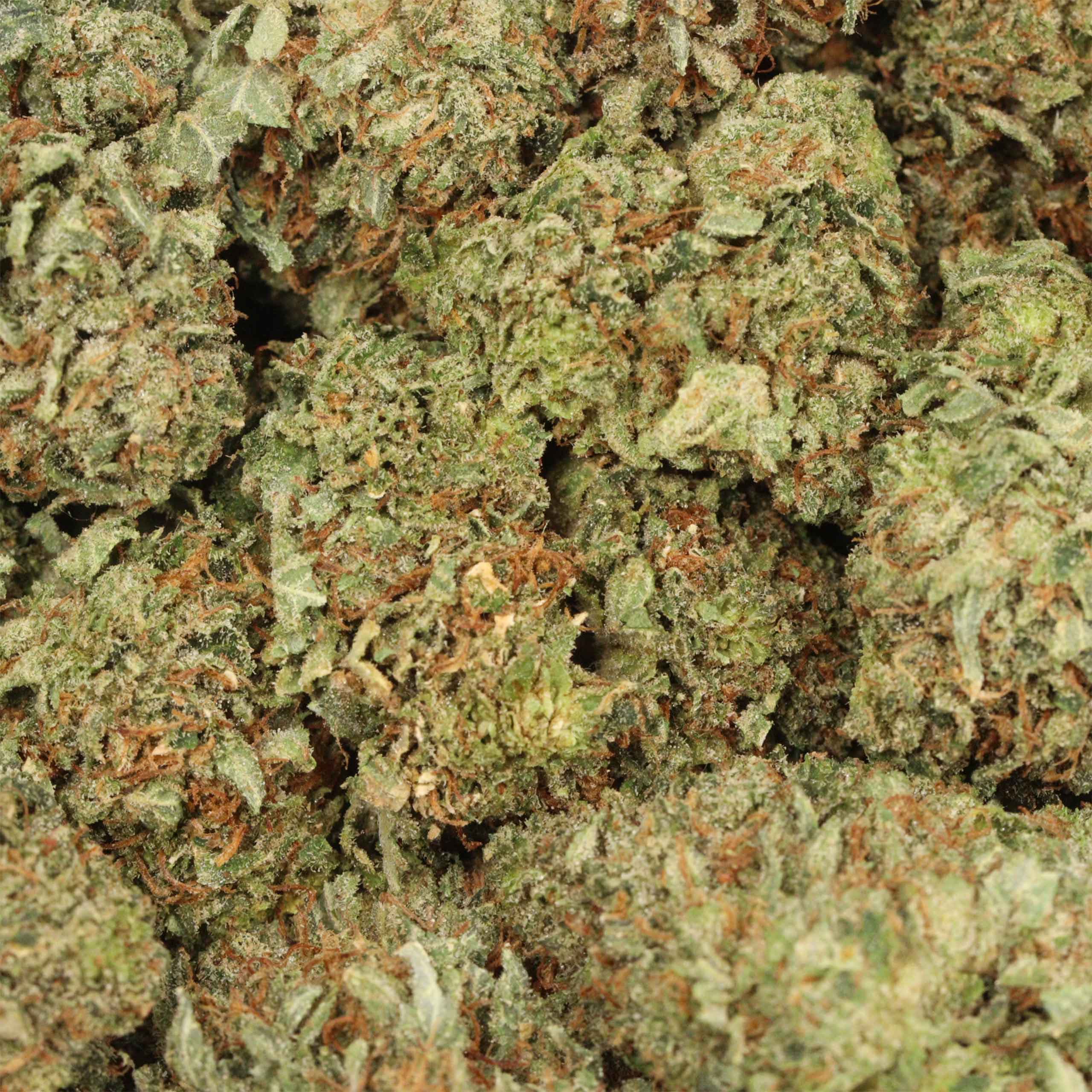 Ahi Tuna Kush