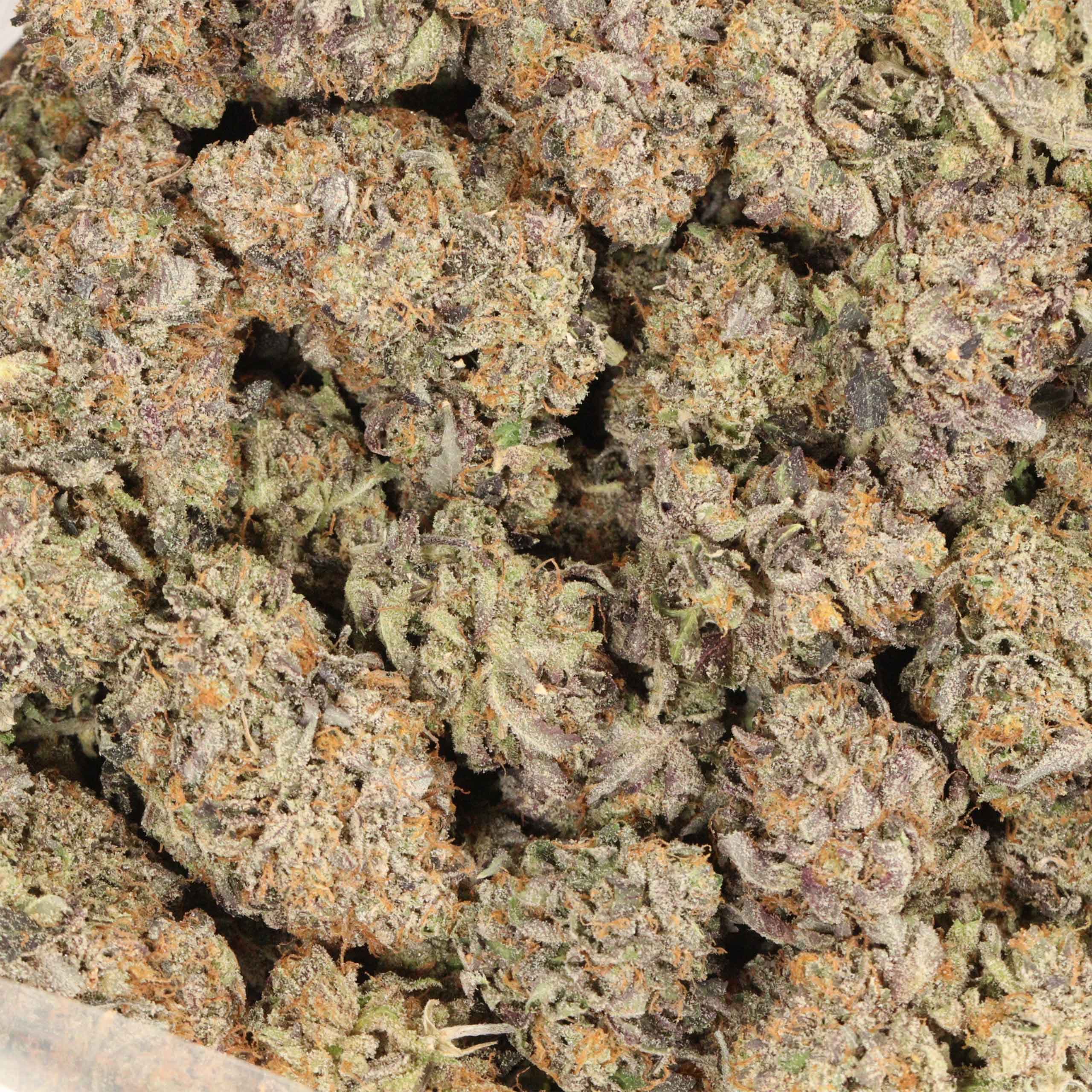 Black Gas AAAA+ indica craft