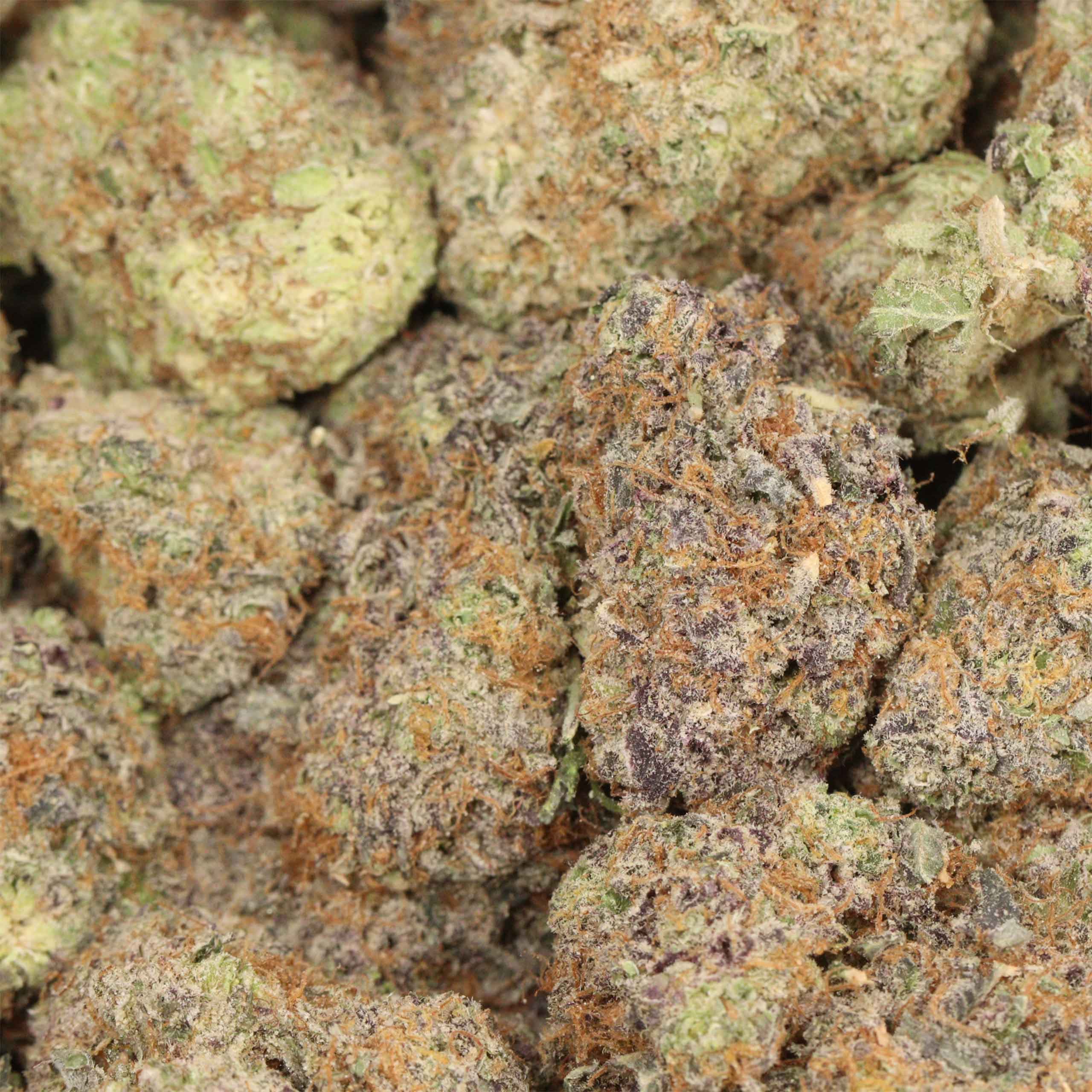 Bombsicle AAAA+ Indica Craft,stored in an airtight glass jar to maintain freshness and quality