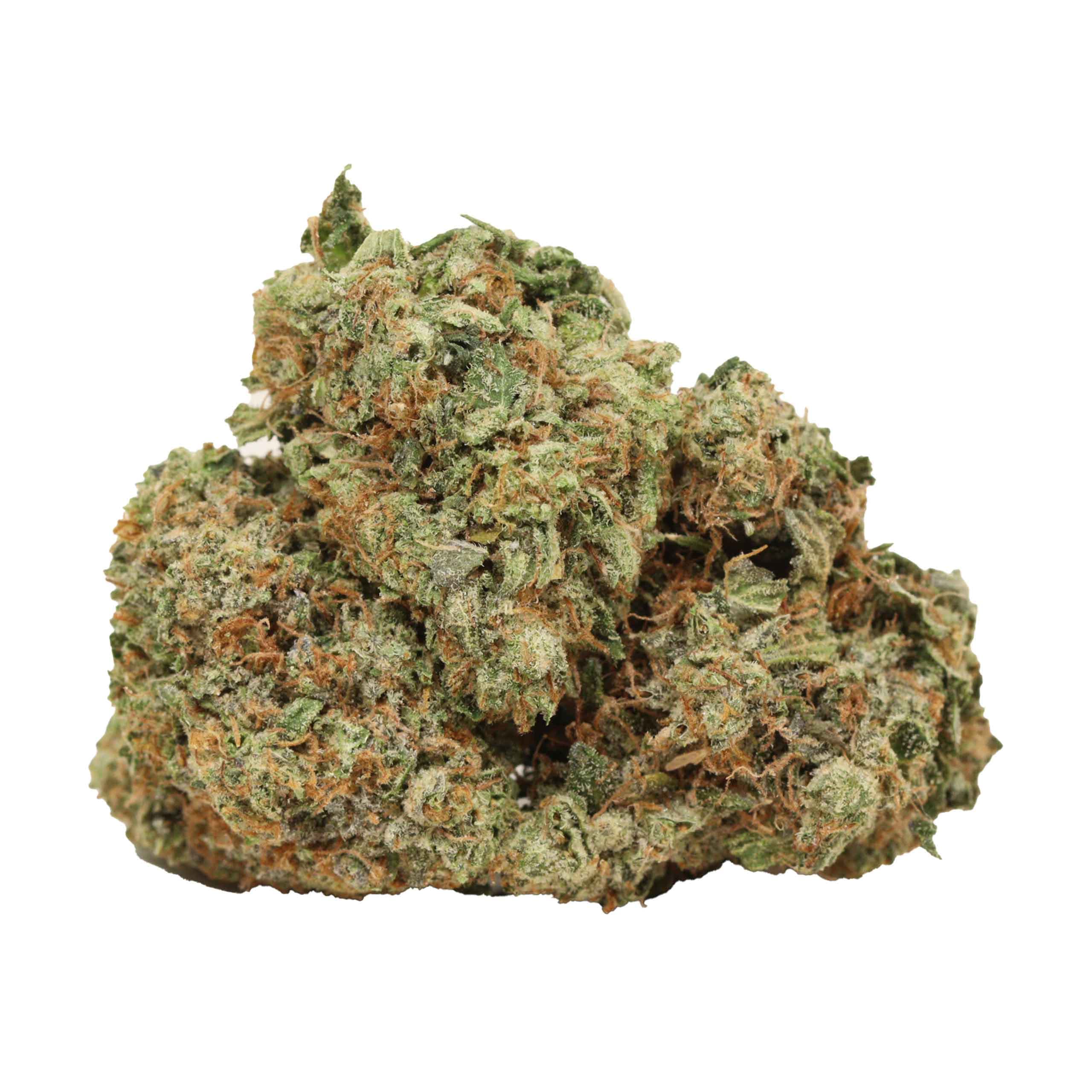 Comatose-strain