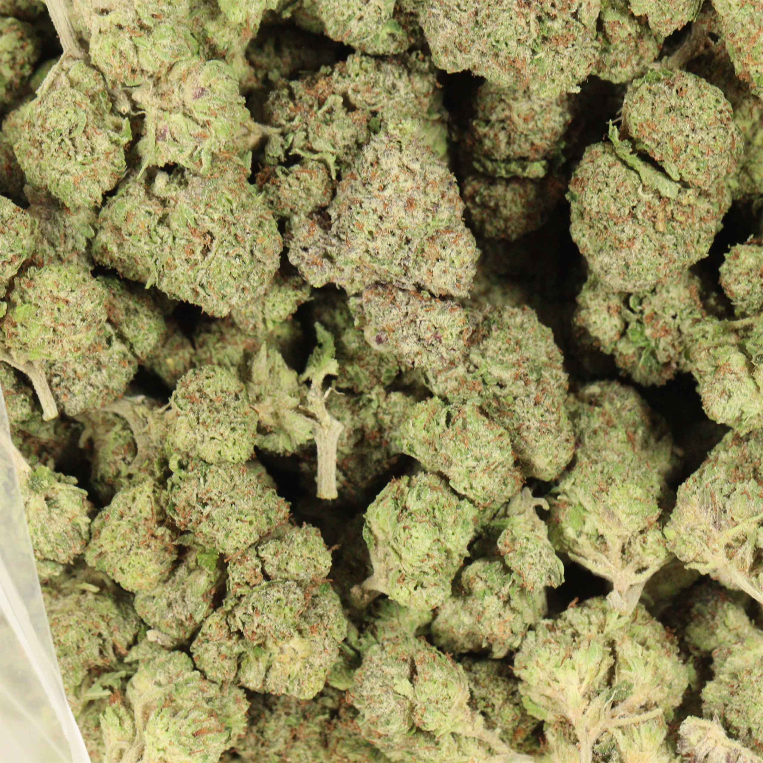 afghani death bubba