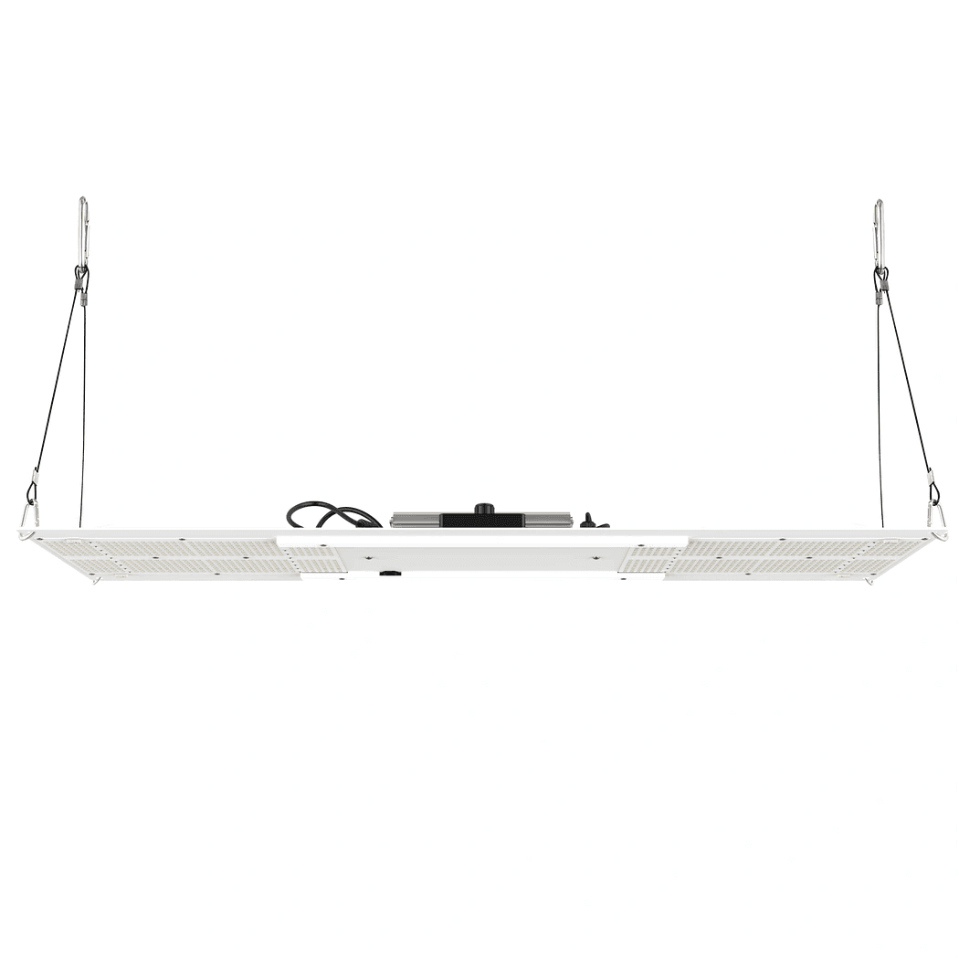 HLG 350 R-Spec 350W LED hang position