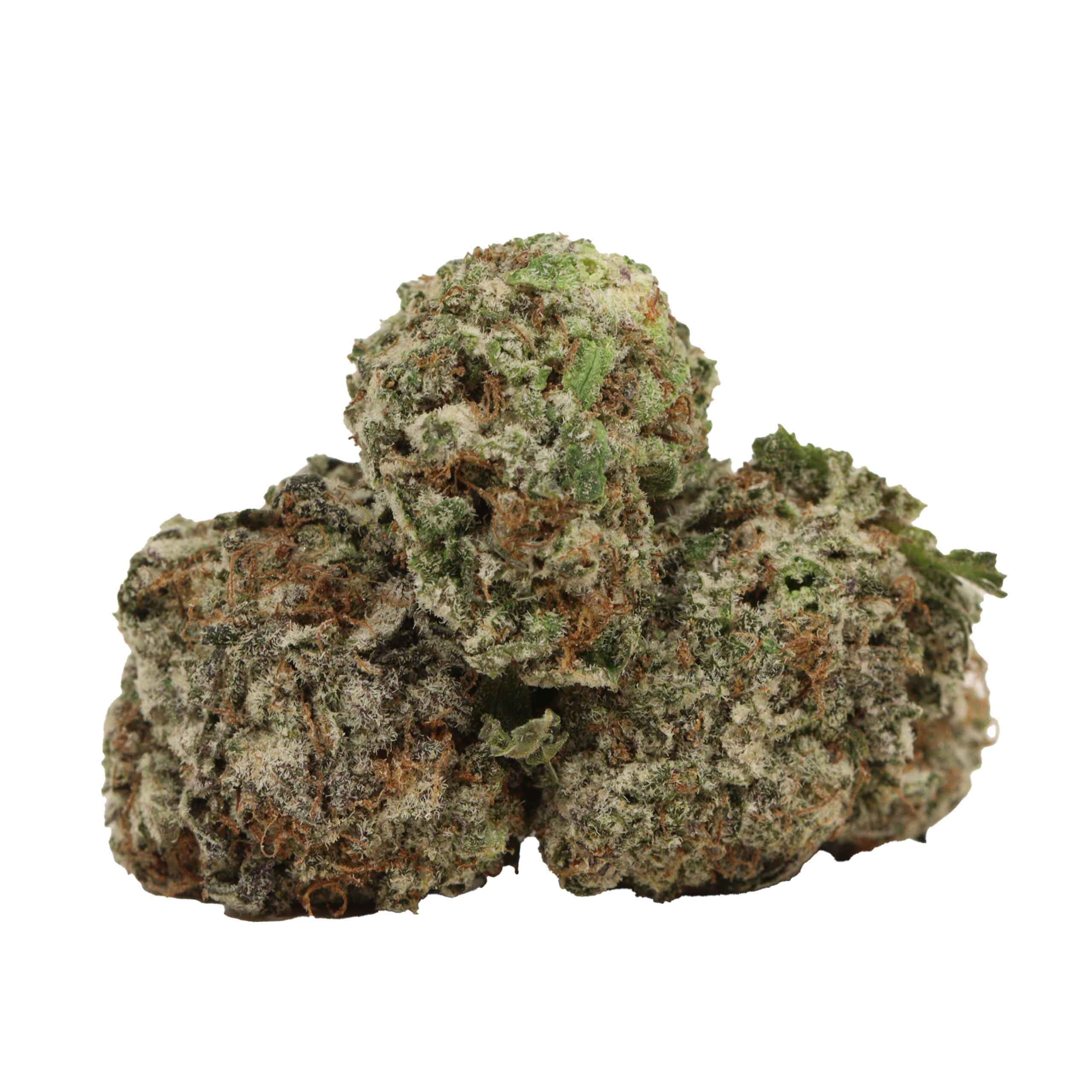 Grand Daddy Purple AAAA+ Strain