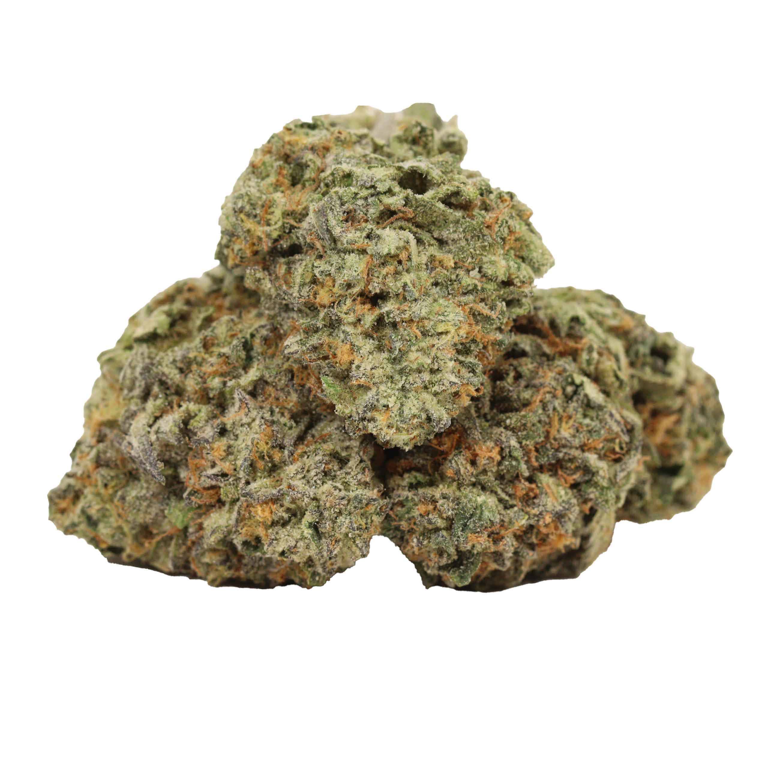 94 Monkey Strain